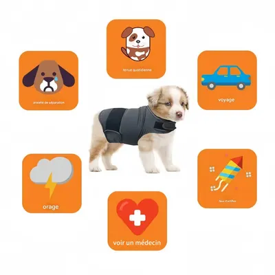 FurryFusion Vêtements de confort émotionnel pour chien