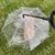 UAMLY Laisse parapluie transparente pour chien