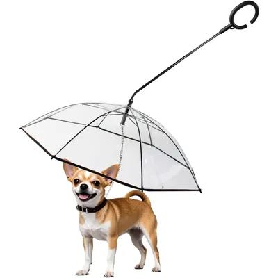 UAMLY Laisse parapluie transparente pour chien