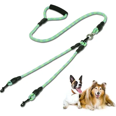 KPYTE Laisse double pour chien