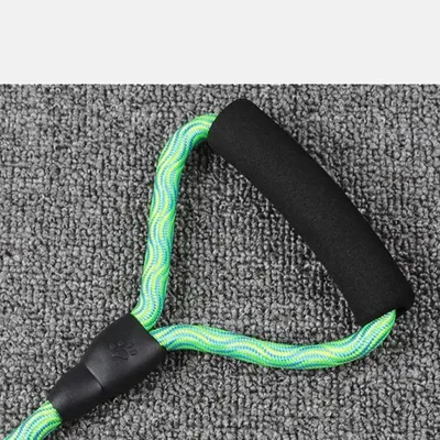 KPYTE Laisse double pour chien