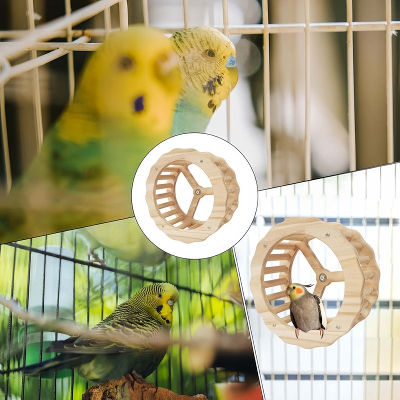 FurryFusion Roue d'exercice pour perroquet
