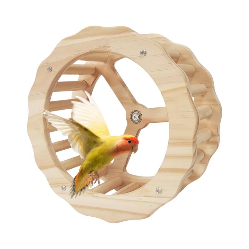 FurryFusion Roue d'exercice pour perroquet