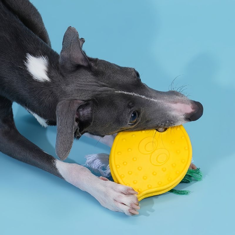 FurryFusion Jouet pour chien en corde de coton en forme de citron