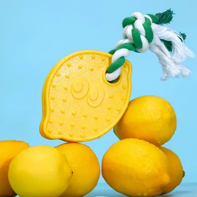 FurryFusion Jouet pour chien en corde de coton en forme de citron