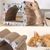 Grattoir en Carton pour Chats avec Zone de Repos