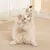FurryFusion Jouet suspendu pour chat qui fuit de la nourriture