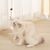 FurryFusion Jouet suspendu pour chat qui fuit de la nourriture