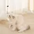 FurryFusion Jouet suspendu pour chat qui fuit de la nourriture
