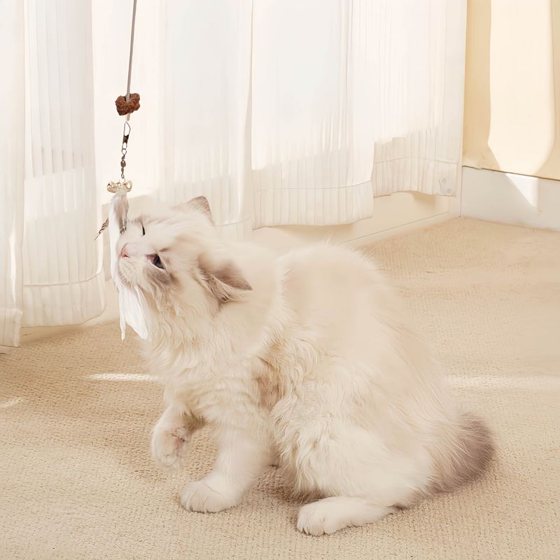 FurryFusion Jouet suspendu pour chat qui fuit de la nourriture