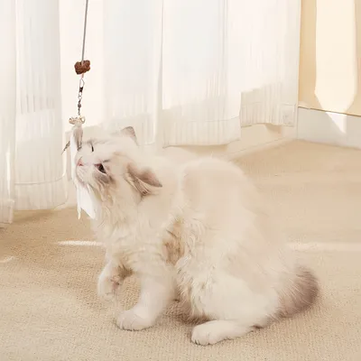 FurryFusion Jouet suspendu pour chat qui fuit de la nourriture