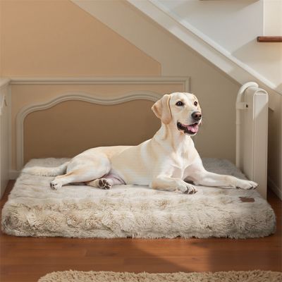 BINGOPAW Panier pour Chien Coussin Chien Tapis Matelas Beige