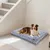 BINGOPAW Panier pour Chien Coussin Chien Tapis Matelas Gris BINGOPAW Panier pour Chien Coussin Chien Tapis Matelas Gris