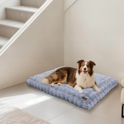 BINGOPAW Panier pour Chien Coussin Chien Tapis Matelas Gris BINGOPAW Panier pour Chien Coussin Chien Tapis Matelas Gris