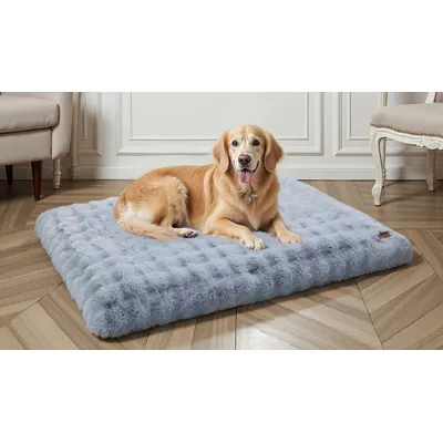 BINGOPAW Panier pour Chien Coussin Chien Tapis Matelas Beige BINGOPAW Panier pour Chien Coussin Chien Tapis Matelas Beige