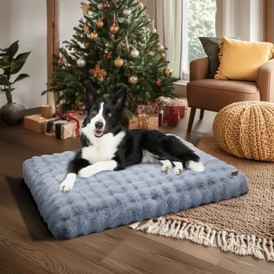 BINGOPAW Panier pour Chien Coussin Chien Tapis Matelas Gris BINGOPAW Panier pour Chien Coussin Chien Tapis Matelas Gris