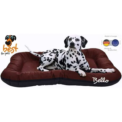 Best For Pets Bello Dog Bed