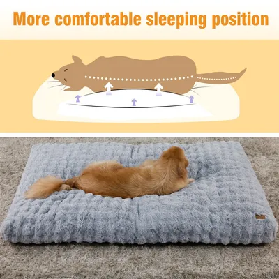 BINGOPAW Panier pour Chien Coussin Chien Tapis Matelas Gris BINGOPAW Panier pour Chien Coussin Chien Tapis Matelas Gris