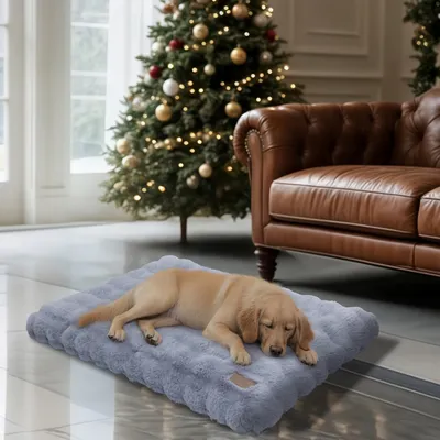 BINGOPAW Panier pour Chien Coussin Chien Tapis Matelas Gris BINGOPAW Panier pour Chien Coussin Chien Tapis Matelas Gris