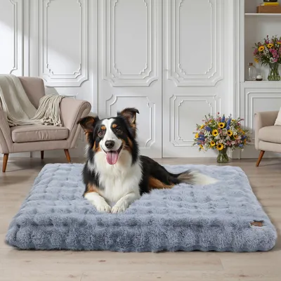 BINGOPAW Panier pour Chien Coussin Chien Tapis Matelas Gris BINGOPAW Panier pour Chien Coussin Chien Tapis Matelas Gris