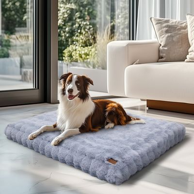 BINGOPAW Panier pour Chien Coussin Chien Tapis Matelas Gris