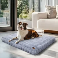 BINGOPAW Panier pour Chien Coussin Chien Tapis Matelas Gris