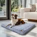 BINGOPAW Panier pour Chien Coussin Chien Tapis Matelas Gris
