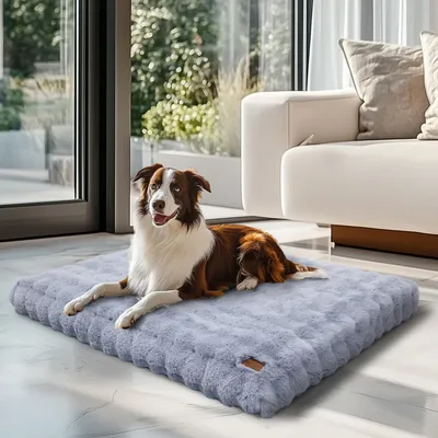 BINGOPAW Panier pour Chien Coussin Chien Tapis Matelas Beige BINGOPAW Panier pour Chien Coussin Chien Tapis Matelas Beige