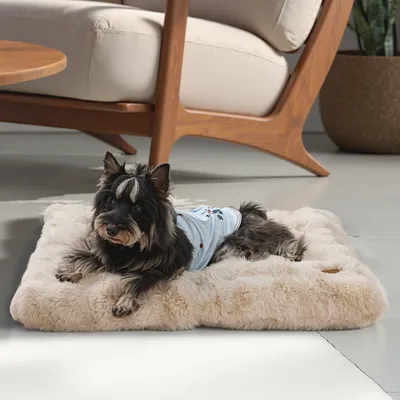 BINGOPAW Panier pour Chien Coussin Chien Tapis Matelas Beige BINGOPAW Panier pour Chien Coussin Chien Tapis Matelas Beige