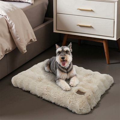 BINGOPAW Panier pour Chien Coussin Chien Tapis Matelas Beige