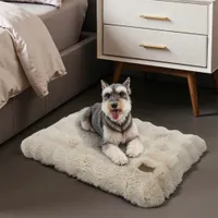 BINGOPAW Panier pour Chien Coussin Chien Tapis Matelas Beige