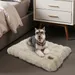 BINGOPAW Panier pour Chien Coussin Chien Tapis Matelas Beige