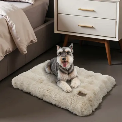 BINGOPAW Panier pour Chien Coussin Chien Tapis Matelas Beige BINGOPAW Panier pour Chien Coussin Chien Tapis Matelas Beige