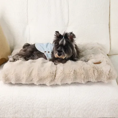 BINGOPAW Panier pour Chien Coussin Chien Tapis Matelas Beige BINGOPAW Panier pour Chien Coussin Chien Tapis Matelas Beige
