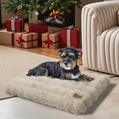 BINGOPAW Panier pour Chien Coussin Chien Tapis Matelas Beige BINGOPAW Panier pour Chien Coussin Chien Tapis Matelas Beige