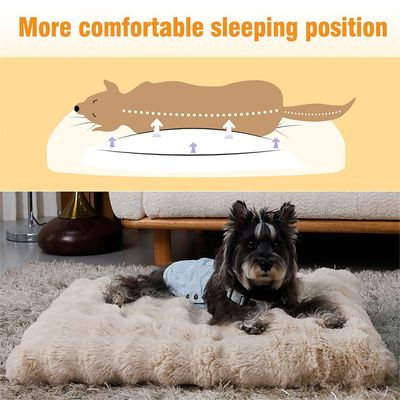 BINGOPAW Panier pour Chien Coussin Chien Tapis Matelas Beige