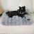 BINGOPAW Panier pour Chien Coussin Chien Tapis Matelas Gris BINGOPAW Panier pour Chien Coussin Chien Tapis Matelas Gris