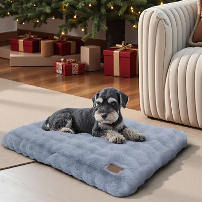 BINGOPAW Panier pour Chien Coussin Chien Tapis Matelas Gris BINGOPAW Panier pour Chien Coussin Chien Tapis Matelas Gris
