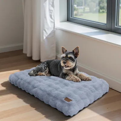 BINGOPAW Panier pour Chien Coussin Chien Tapis Matelas Gris BINGOPAW Panier pour Chien Coussin Chien Tapis Matelas Gris