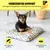 Best For Pets Pet Bed Ortho-Medic Visco