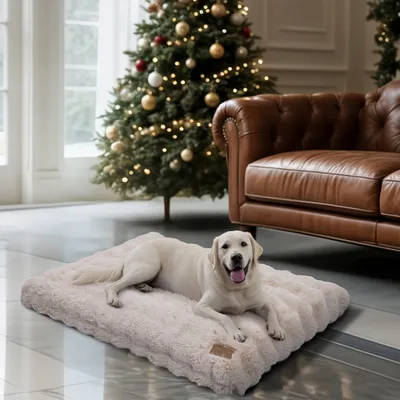BINGOPAW Panier pour Chien Coussin Chien Tapis Matelas Beige BINGOPAW Panier pour Chien Coussin Chien Tapis Matelas Beige
