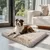 BINGOPAW Panier pour Chien Coussin Chien Tapis Matelas Beige BINGOPAW Panier pour Chien Coussin Chien Tapis Matelas Beige