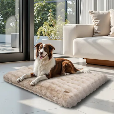 BINGOPAW Panier pour Chien Coussin Chien Tapis Matelas Beige BINGOPAW Panier pour Chien Coussin Chien Tapis Matelas Beige