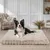 BINGOPAW Panier pour Chien Coussin Chien Tapis Matelas Beige BINGOPAW Panier pour Chien Coussin Chien Tapis Matelas Beige