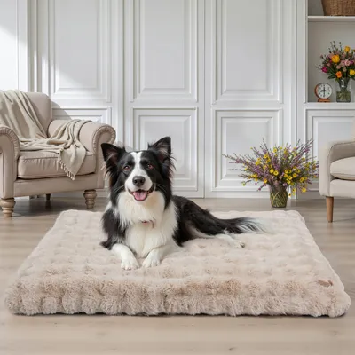 BINGOPAW Panier pour Chien Coussin Chien Tapis Matelas Beige BINGOPAW Panier pour Chien Coussin Chien Tapis Matelas Beige