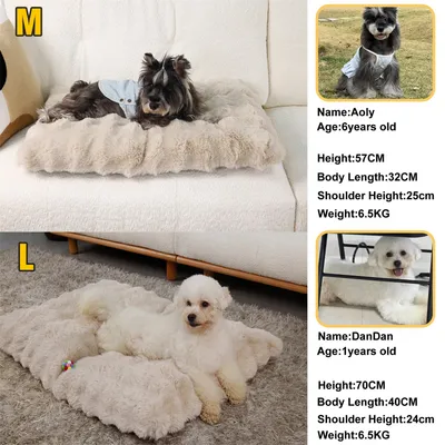 BINGOPAW Panier pour Chien Coussin Chien Tapis Matelas Beige BINGOPAW Panier pour Chien Coussin Chien Tapis Matelas Beige