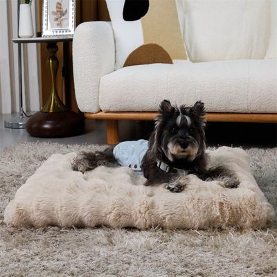 BINGOPAW Panier pour Chien Coussin Chien Tapis Matelas Gris