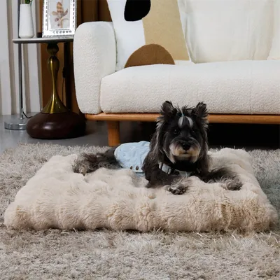 BINGOPAW Panier pour Chien Coussin Chien Tapis Matelas Beige BINGOPAW Panier pour Chien Coussin Chien Tapis Matelas Beige