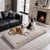 BINGOPAW Panier pour Chien Coussin Chien Tapis Matelas Beige BINGOPAW Panier pour Chien Coussin Chien Tapis Matelas Beige