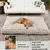 BINGOPAW Panier pour Chien Coussin Chien Tapis Matelas Beige BINGOPAW Panier pour Chien Coussin Chien Tapis Matelas Beige